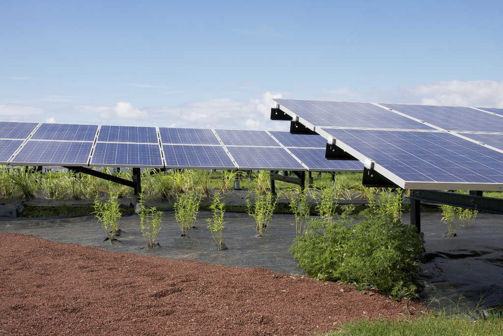 better opportunities for Africa to achieve the Sustainable Development Goals
