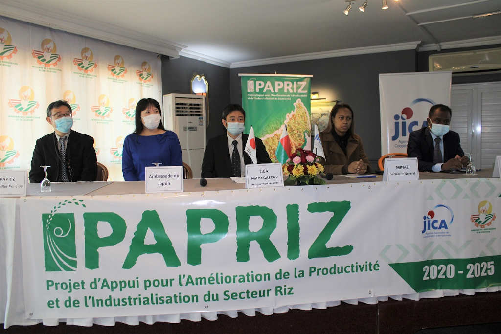 Madagascar : 6 millions de tonnes de riz en 2023 avec PAPRIZ