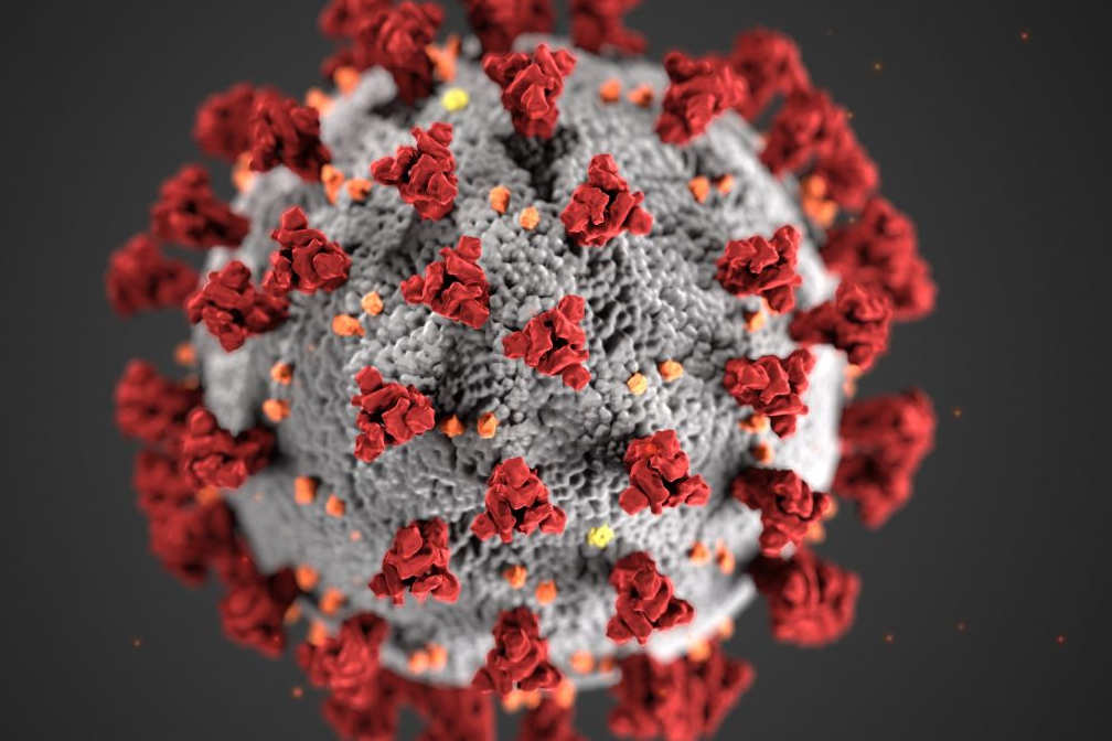 COVID-19: il 90% della popolazione mondiale sarà immune – Salute